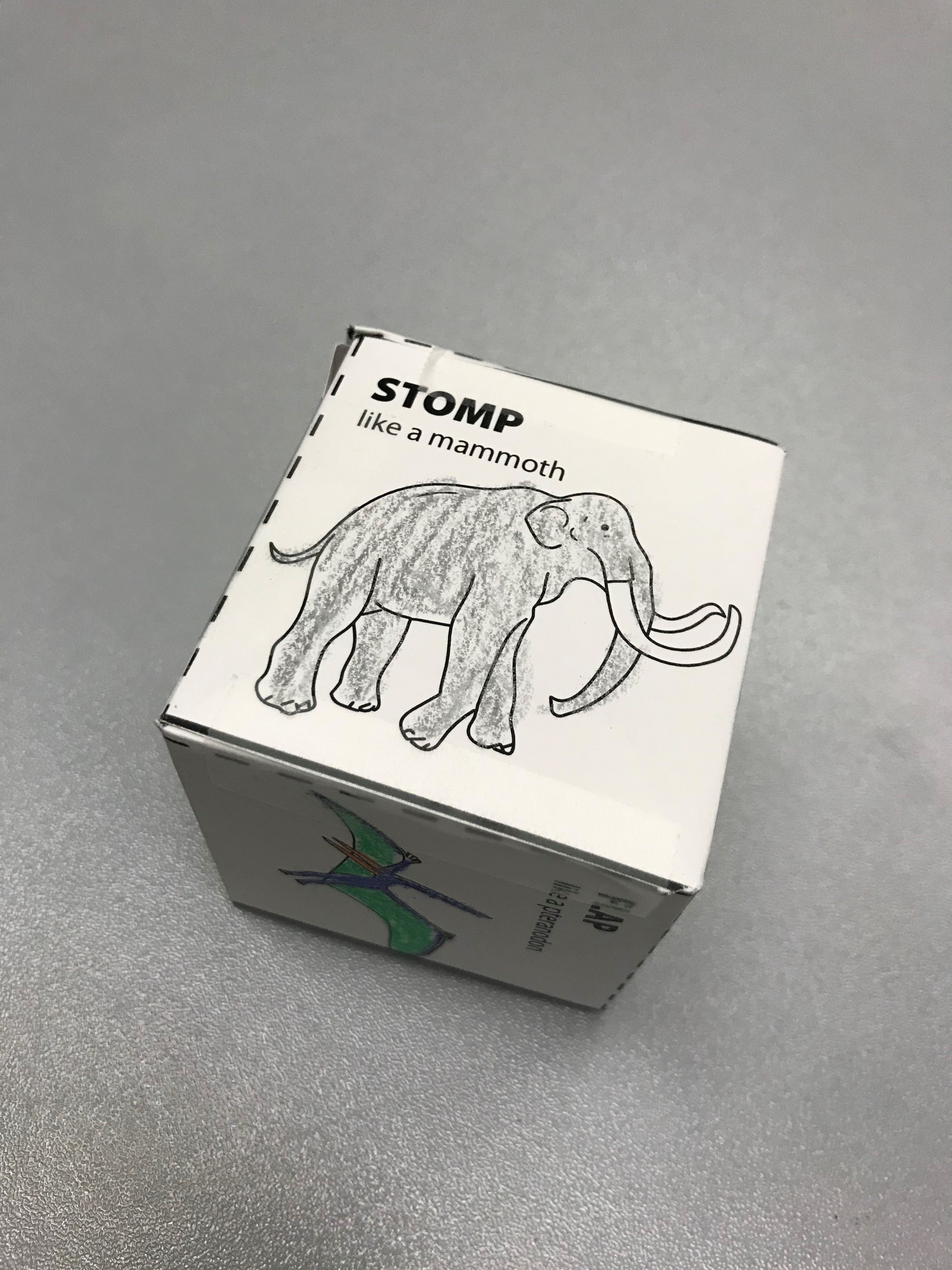 Little Wonders: Fossils | Museum of Natural and Cultural History